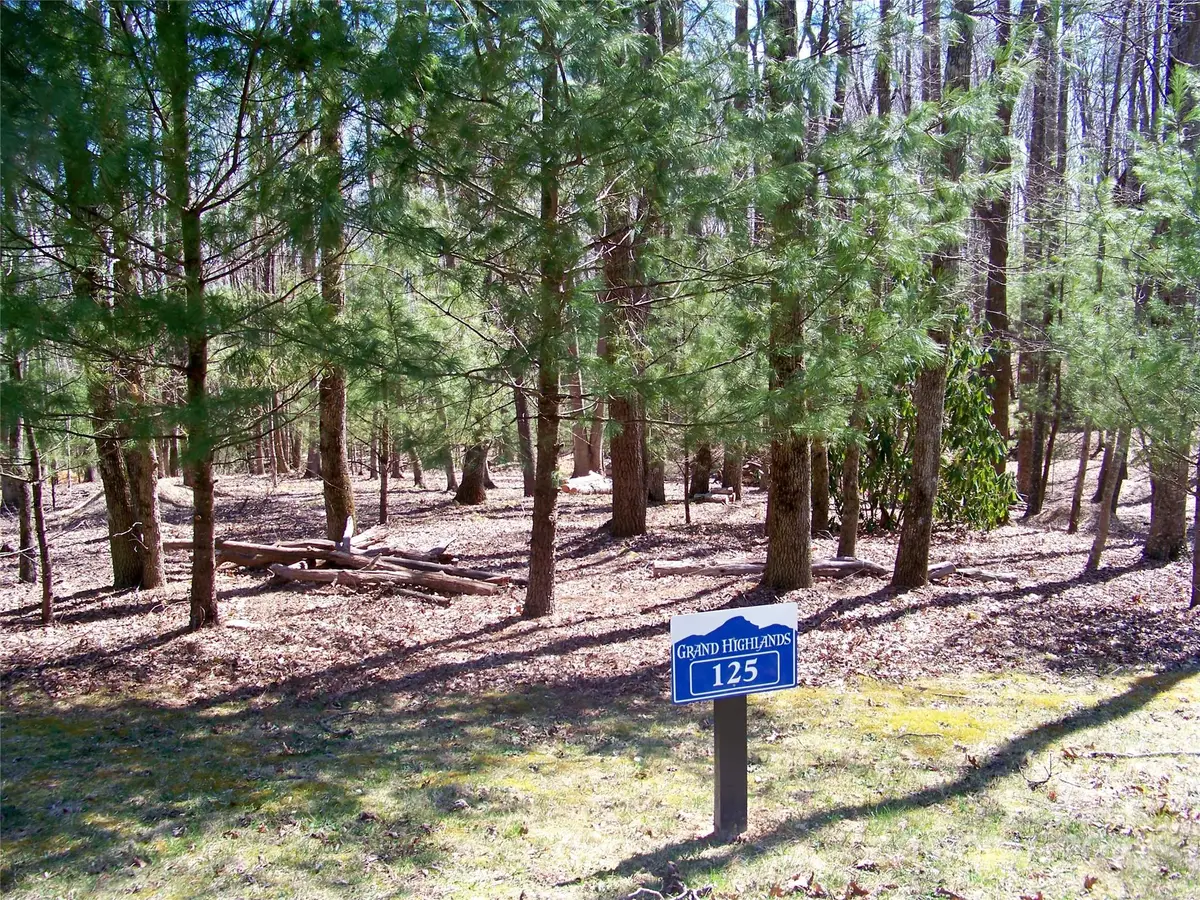 125 Thunder Mountain Road, Hendersonville, NC 28792 - Image #1