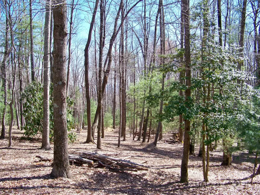 125 Thunder Mountain Road, Hendersonville, NC 28792 - Image #2