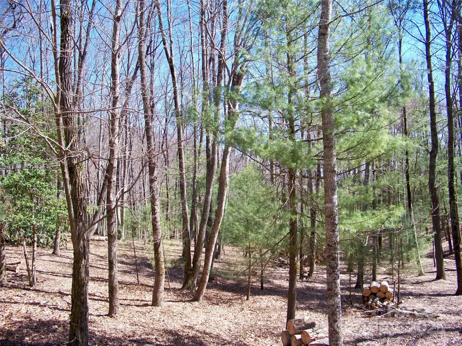 125 Thunder Mountain Road, Hendersonville, NC 28792 - Image #3