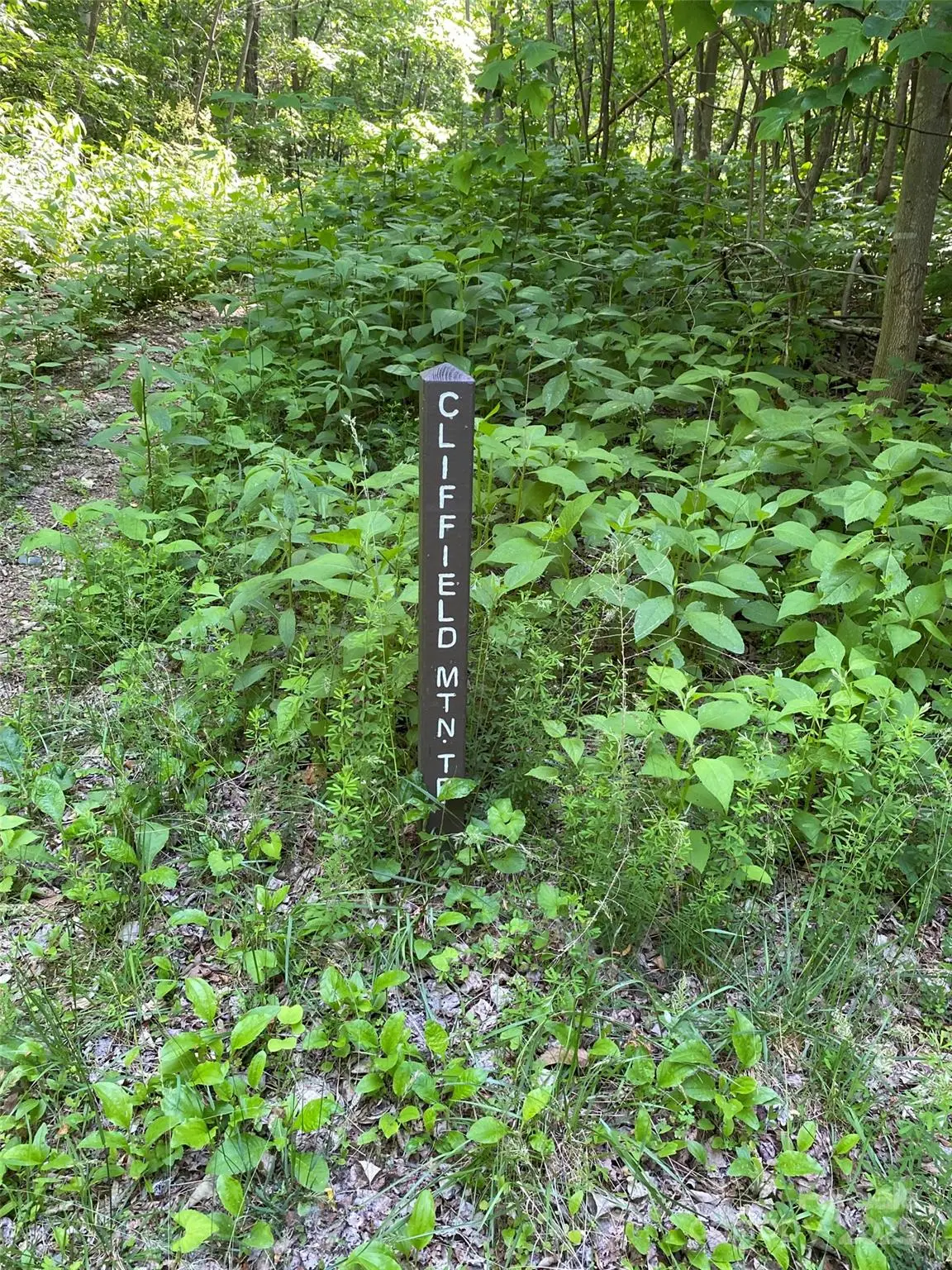 0 Cherry Hill None #202, Mill Spring, NC 28756 - Image #1