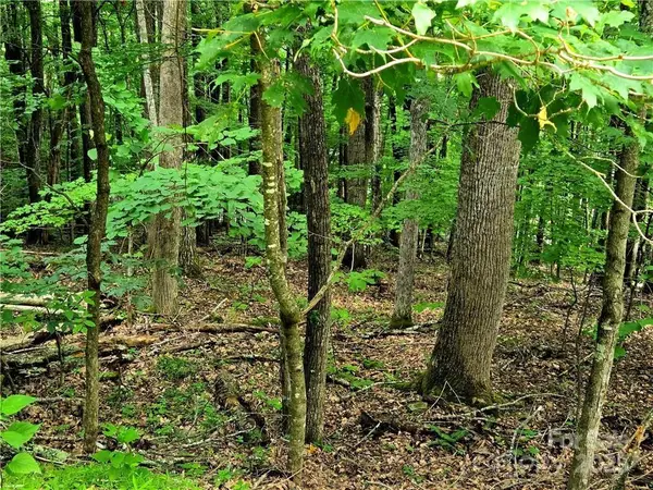 TBD Red Fox Ridge #5, Boone, NC 28607