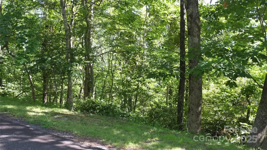 0 Sunset Ridge Drive #Lot11, Columbus, NC 28722 - Image #2