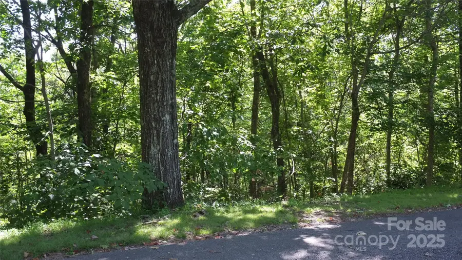 0 Sunset Ridge Drive #Lot11, Columbus, NC 28722 - Image #3