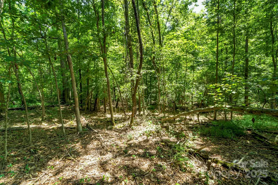 0 Setzer Drive, Morganton, NC 28655 - Image #2