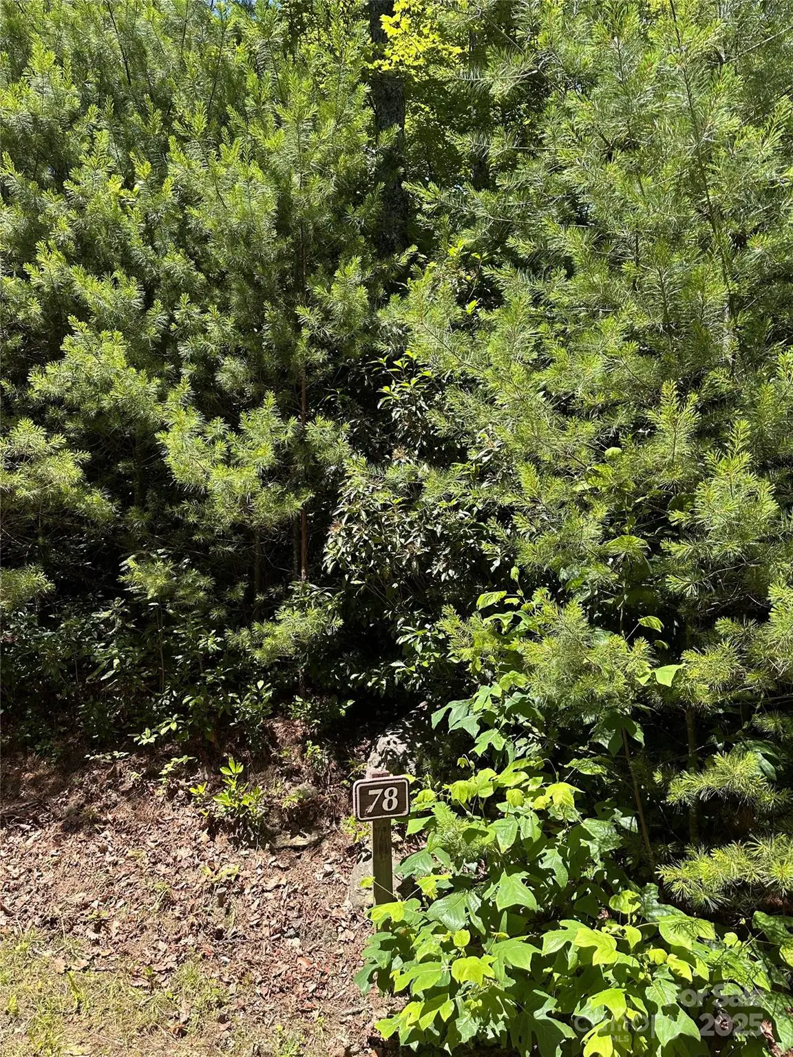 66 Boone Cove Road, Zirconia, NC 28790 - Image #1