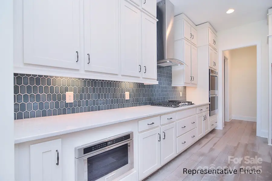 116 Davidson Springs Drive, Mooresville, NC 28115 - Image #2