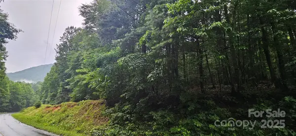 0 Old Ccc Road, Hendersonville, NC 28739