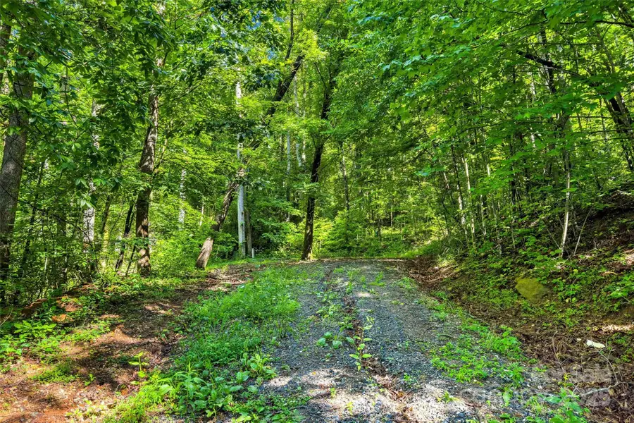 Lot #76 Hunnicut Spur Road, Marion, NC 28752 - Image #3