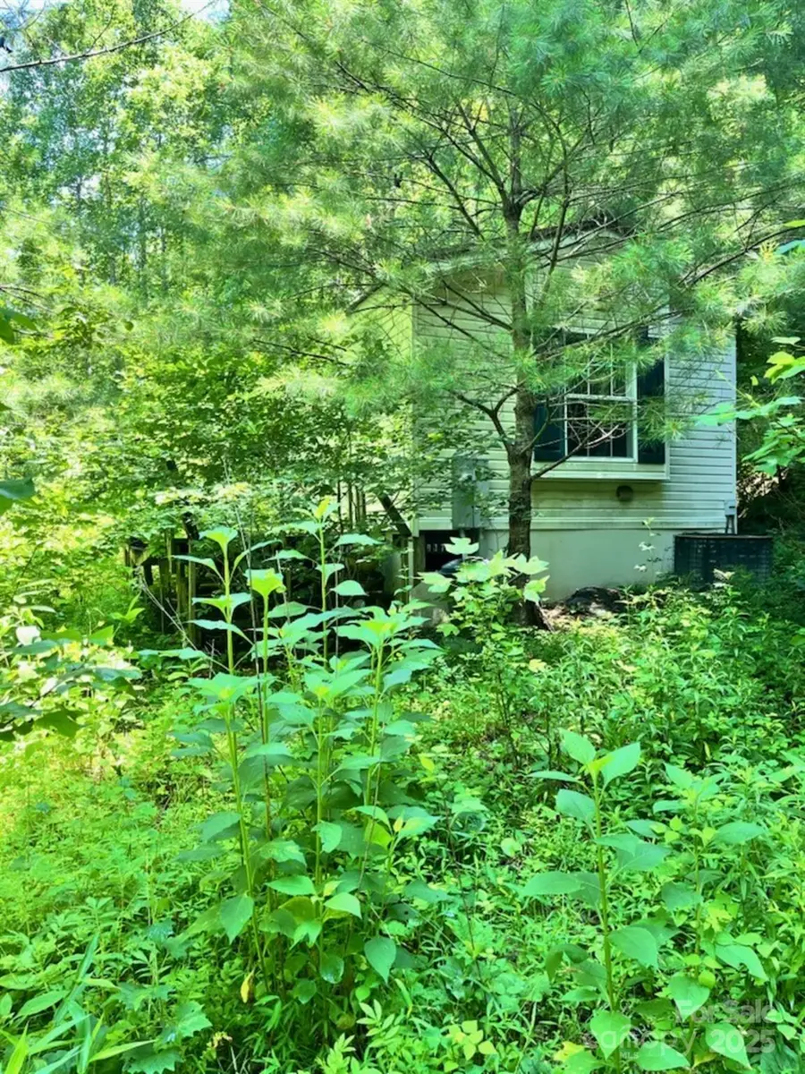 287 Indian Camp Creek Road, Hot Springs, NC 28743 - Image #2