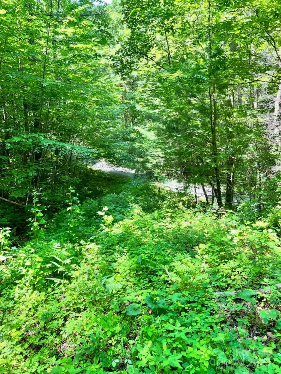 287 Indian Camp Creek Road, Hot Springs, NC 28743 - Image #3