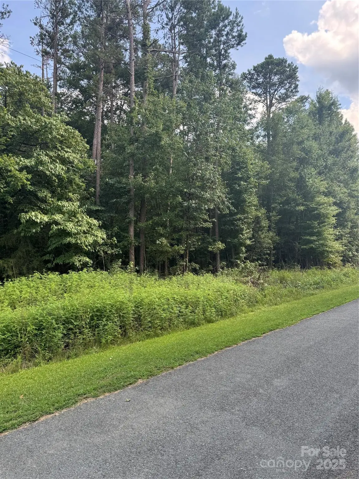 00 Raymond Helms Road, Waxhaw, NC 28173 - #1