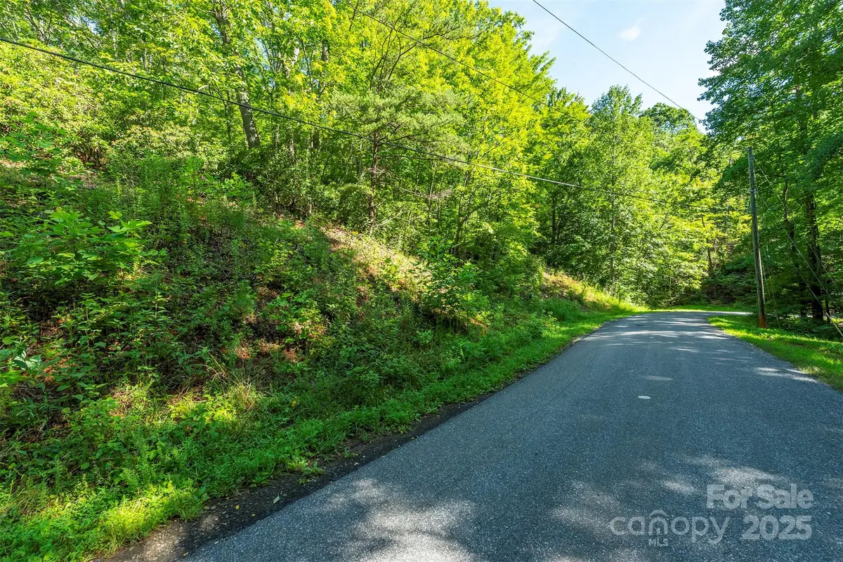TBD Mckenzie Way N, Old Fort, NC 28762 - Image #1