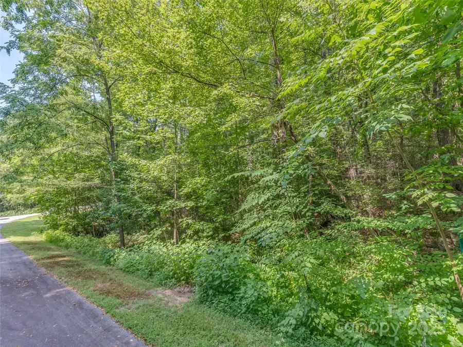 Lot 231 Chesterfield Drive #231, Mill Spring, NC 28756 - Image #2