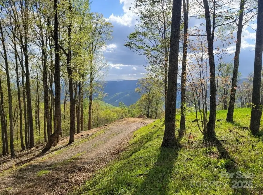 TBD Nicholas Knoll Road, Bakersville, NC 28705 - Image #3