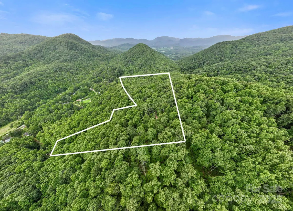 99999 Little Pisgah Road, Gerton, NC 28735 - Image #1