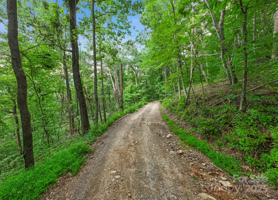 99999 Little Pisgah Road, Gerton, NC 28735 - Image #2