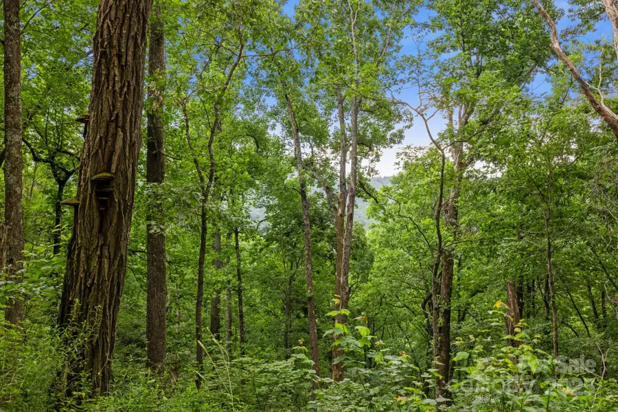 99999 Little Pisgah Road, Gerton, NC 28735 - Image #3