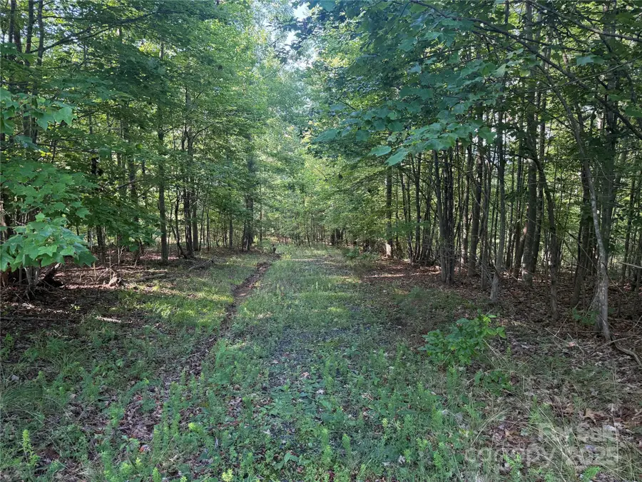 Lot 333 Scenic Vista Drive #333, Nebo, NC 28761 - Image #3