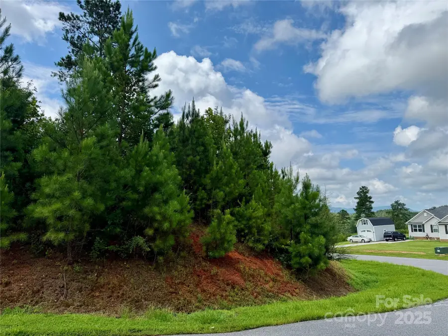 2039 Lake Vista Drive Ne #38, Connelly Springs, NC 28612 - Image #3