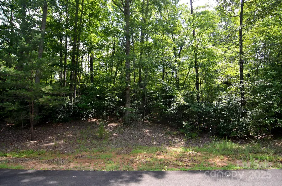 00 Ravenswood Drive #106, Marion, NC 28752 - Image #3