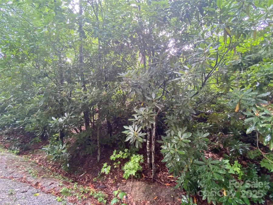 00000 Viking Trail, Hendersonville, NC 28739 - Image #2