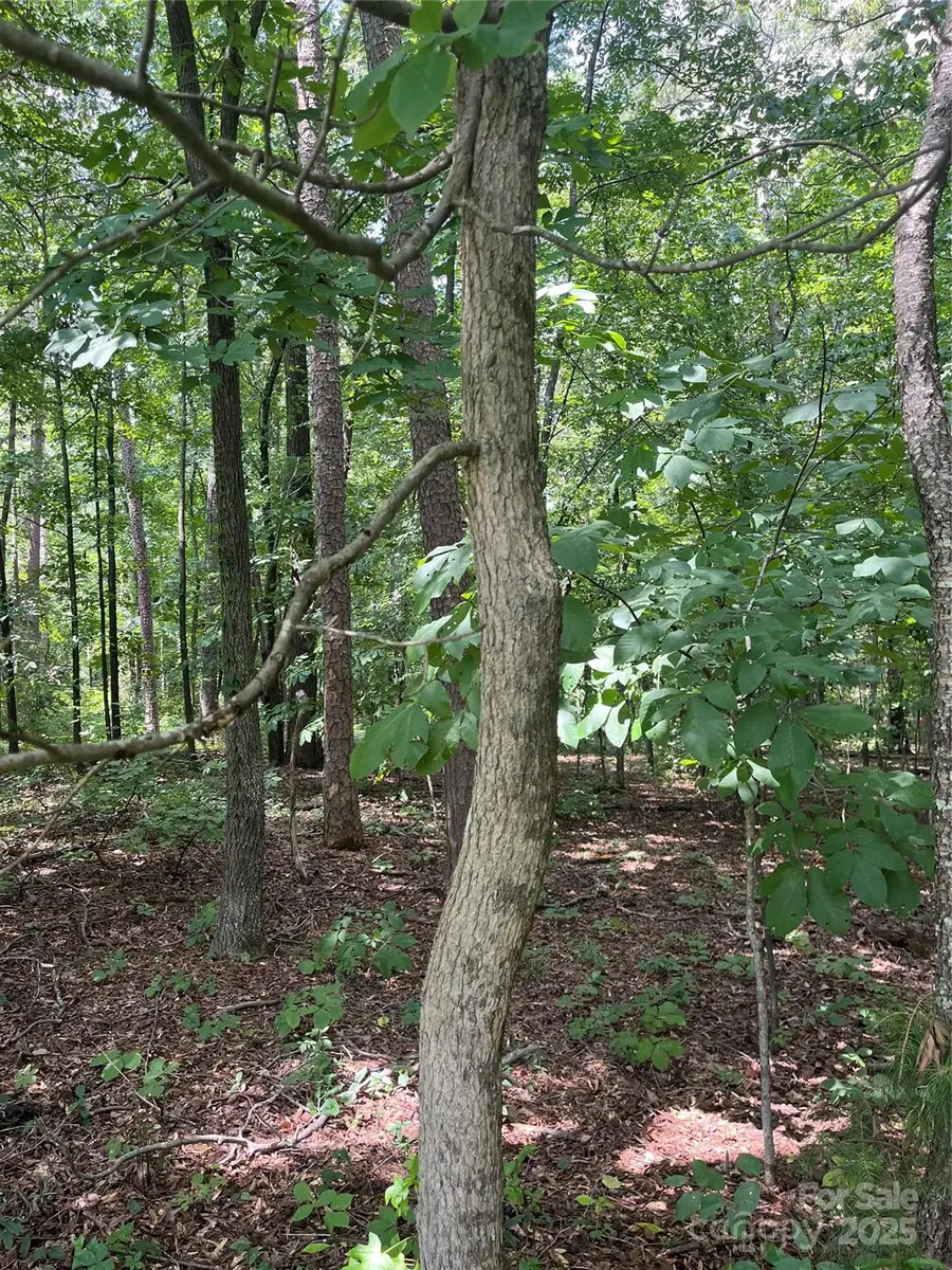 0 Monticello Road, Albemarle, NC 28001 - Image #2