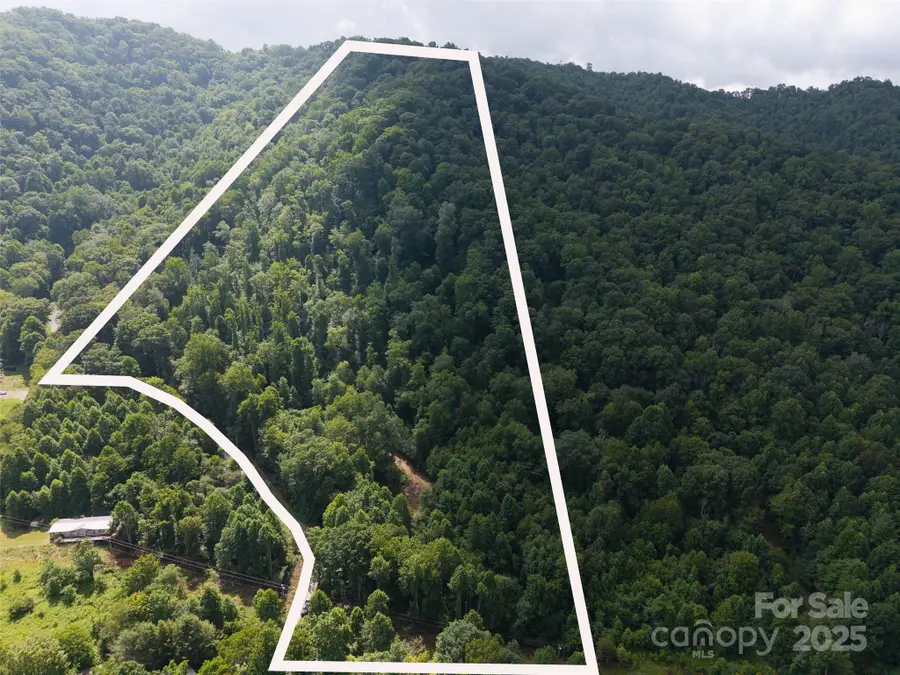 00 Sugar Cove Road, Clyde, NC 28721 - Image #2