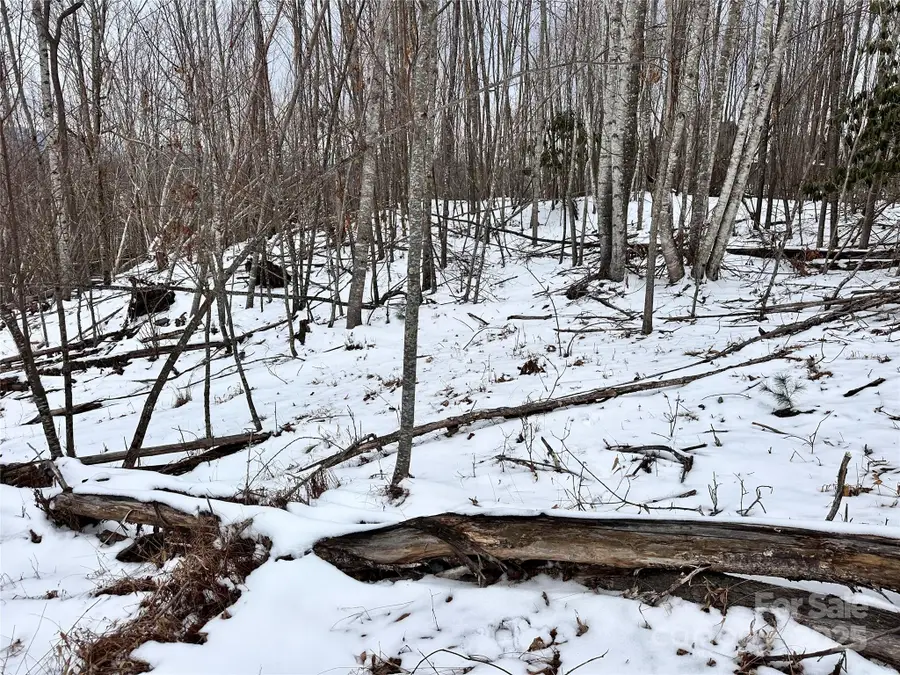 0000 Lot 78 Black Bear Crossing, Elk Park, NC 28622 - Image #3