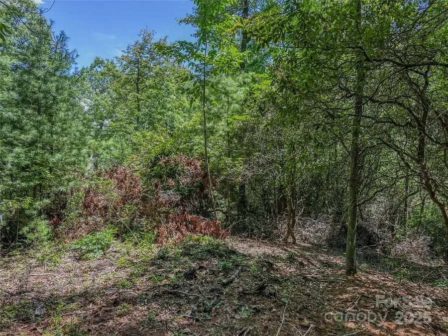 TBD Emma Bri Lane #10, Hendersonville, NC 28739 - Image #2