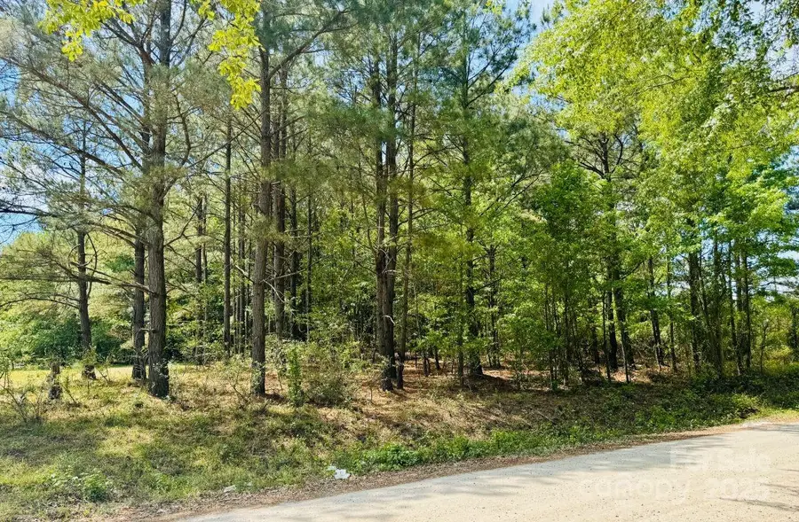 385 Elbert Baskins Road, Cheraw, SC 29520 - Image #2