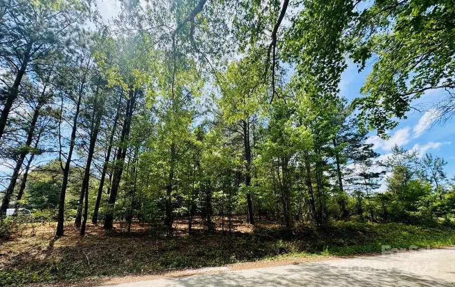 385 Elbert Baskins Road, Cheraw, SC 29520 - Image #3