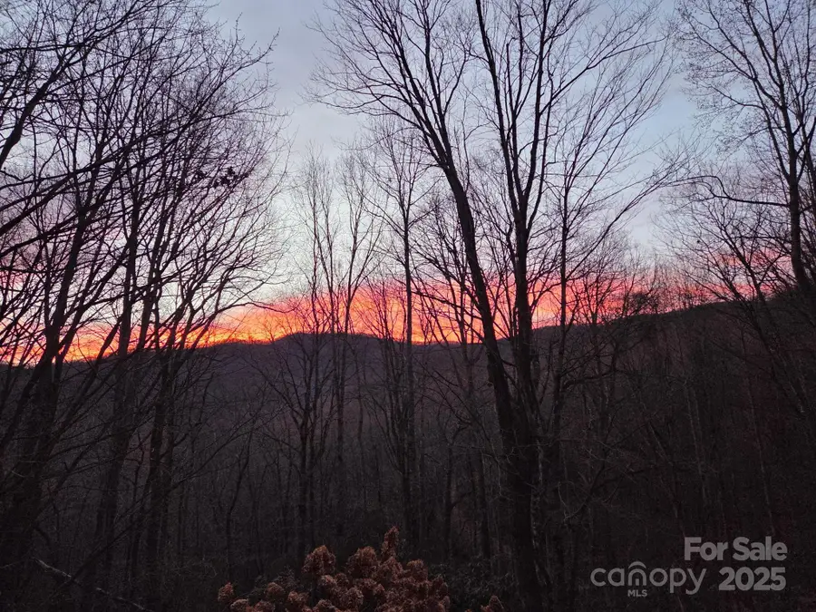 50 Firefly Springs Lane, Candler, NC 28715 - Image #2