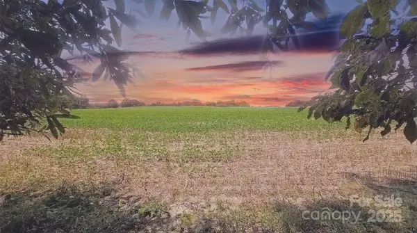 TBD Traywick Road, Peachland, NC 28133