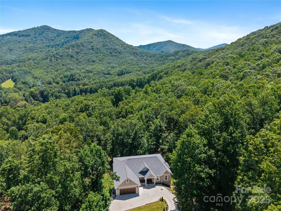 95 Windy Park Way, Candler, NC 28715 - Image #2