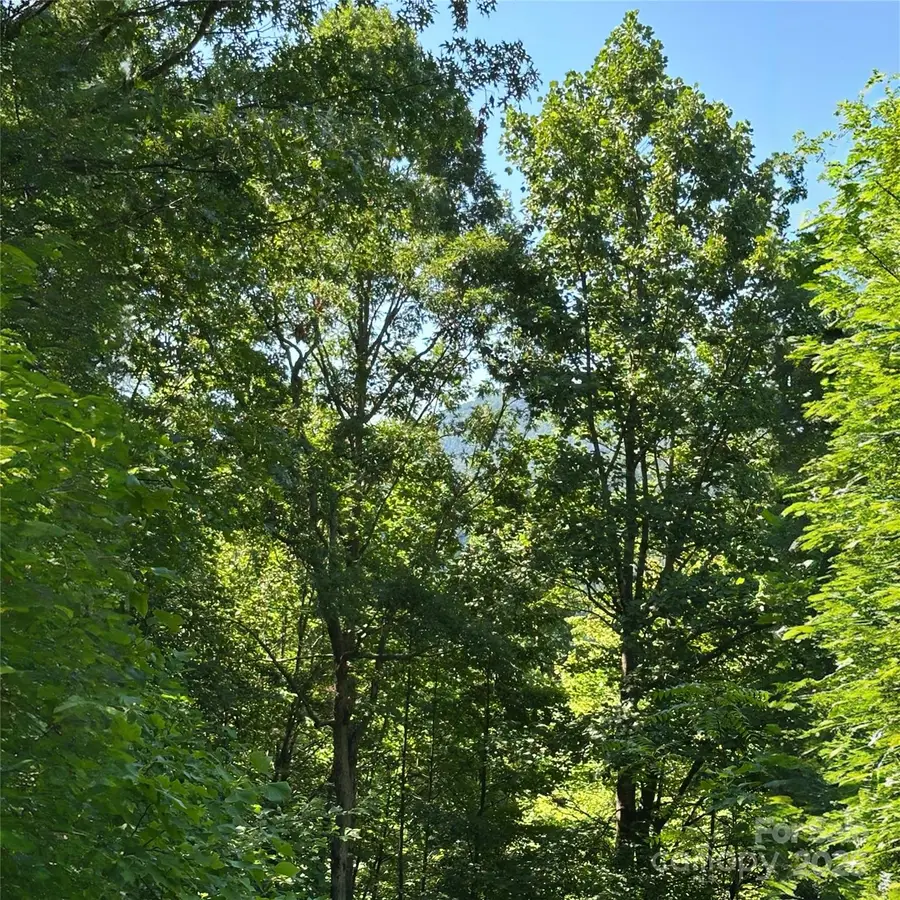 33 Nuthatch Lane #T-84, Black Mountain, NC 28711 - Image #3