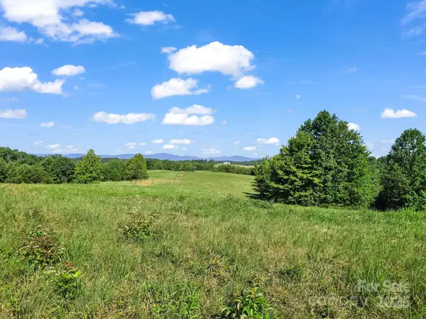 0 Ring Farm Drive, Rutherfordton, NC 28139