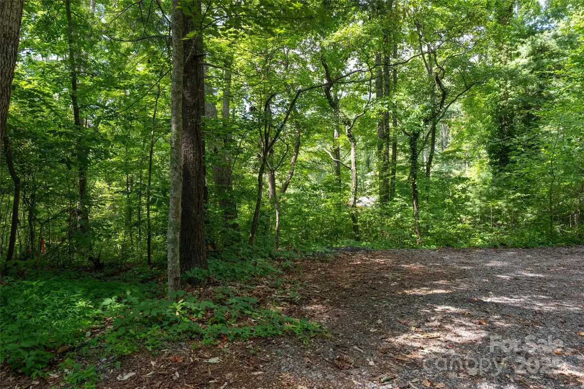 99999 Buffalo Trail #86, Asheville, NC 28805 - Image #1