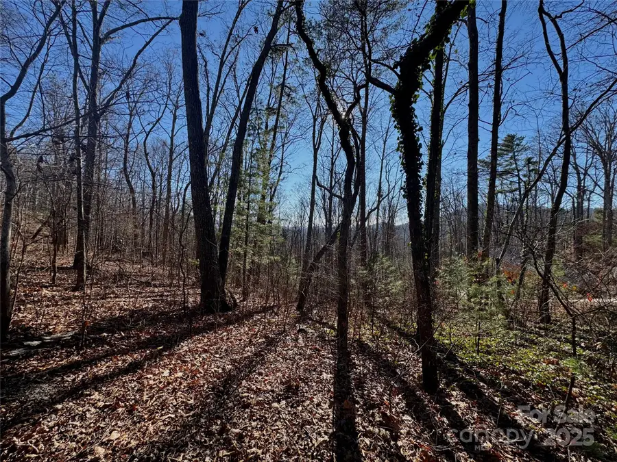 99999 Buffalo Trail #86, Asheville, NC 28805 - Image #3