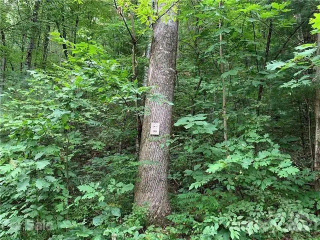 0000 Peppervine Circle #98, Rosman, NC 28772 - Image #2