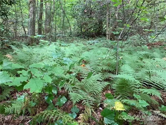 0000 Peppervine Circle #98, Rosman, NC 28772 - Image #3