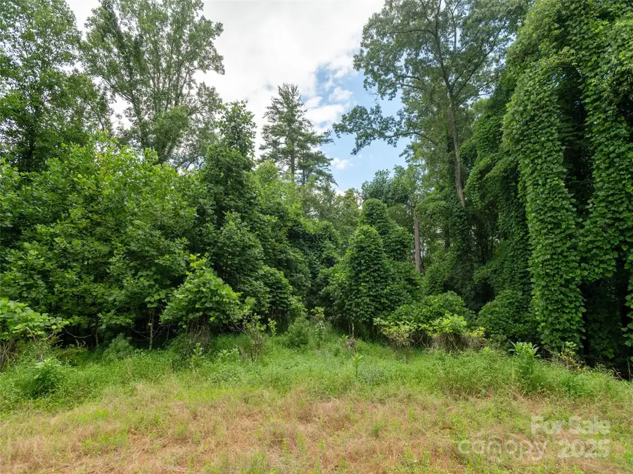 0 Willow Falls Lane, Hendersonville, NC 28792 - Image #3