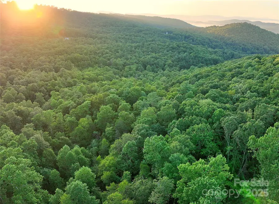 0000 Ebb Ida Lane, Fletcher, NC 28732 - Image #2