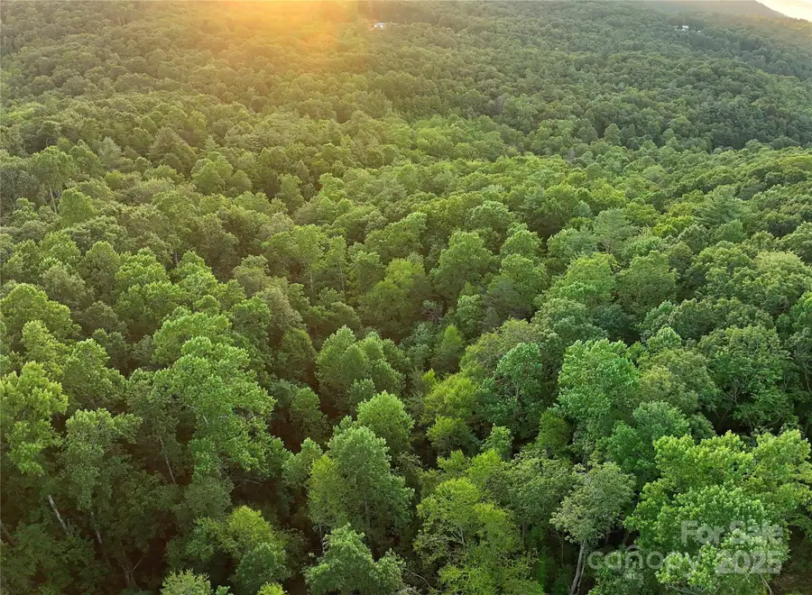 0000 Ebb Ida Lane, Fletcher, NC 28732 - Image #3