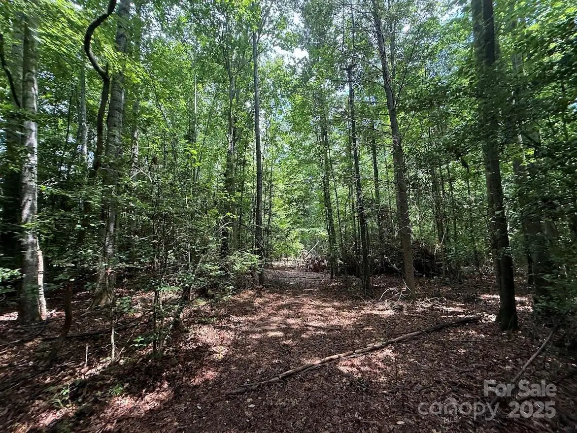 00 Hundred Acres Lane, Lenoir, NC 28645 - Image #1