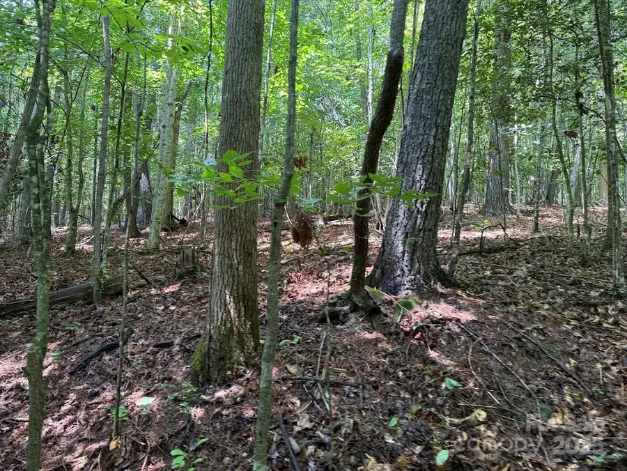 00 Hundred Acres Lane, Lenoir, NC 28645 - Image #3