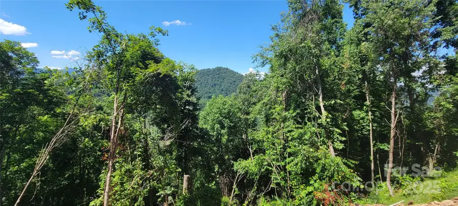 32 Destination Drive, Waynesville, NC 28786 - Image #3