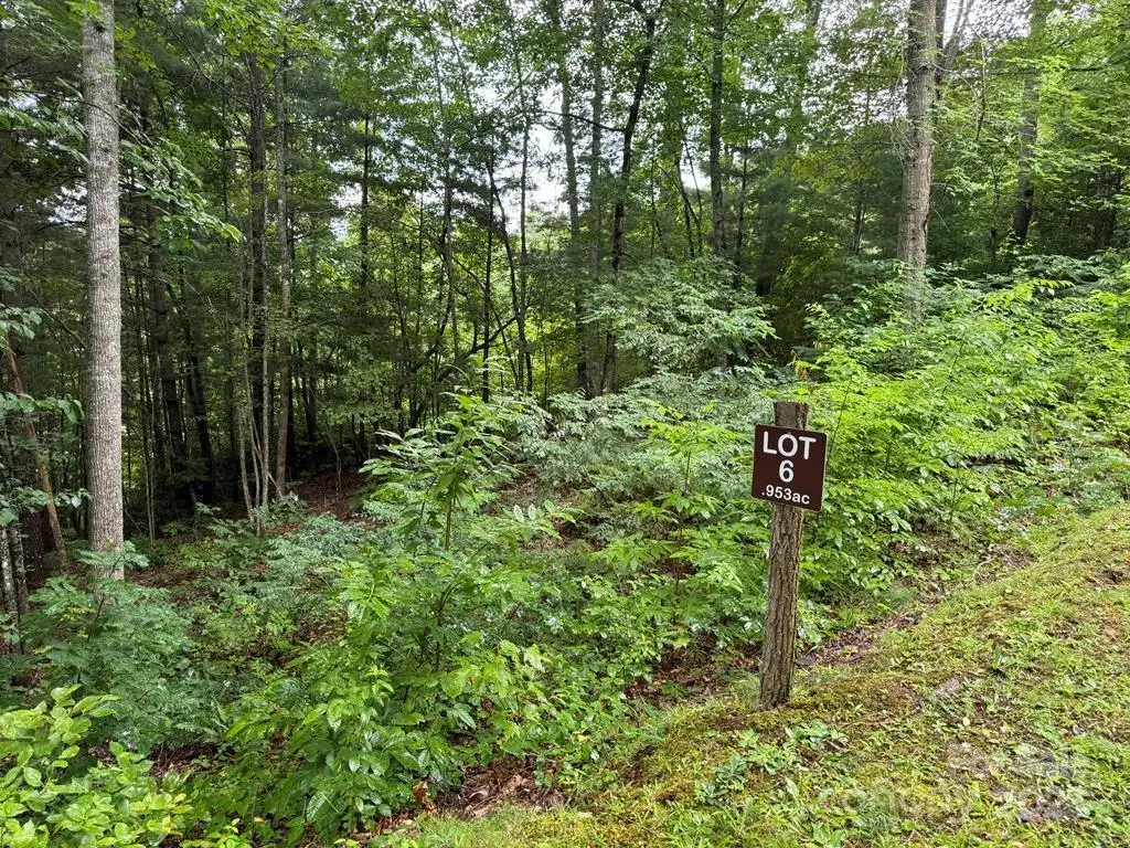 Lot 6 Garnet Road, Sylva, NC 28779 - Image #1