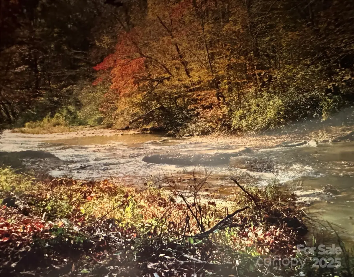 917 Spur Alley, Rutherfordton, NC 28139 - Image #1