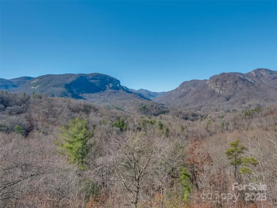 315 Thomas A Edison Road, Lake Lure, NC 28746 - Image #3