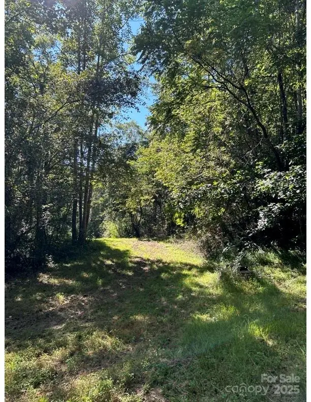 0 10th Avenue Drive Sw, Hickory, NC 28602 - Image #3